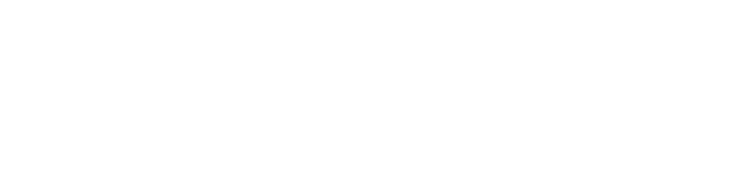 東京の土産にも大人気！ARINCOロールケーキ専門店　アリンコ - ARINCO