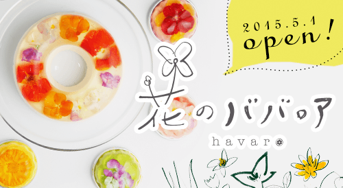 花のババロア havaro 花のババロア havaro 5月11日OPEN!!